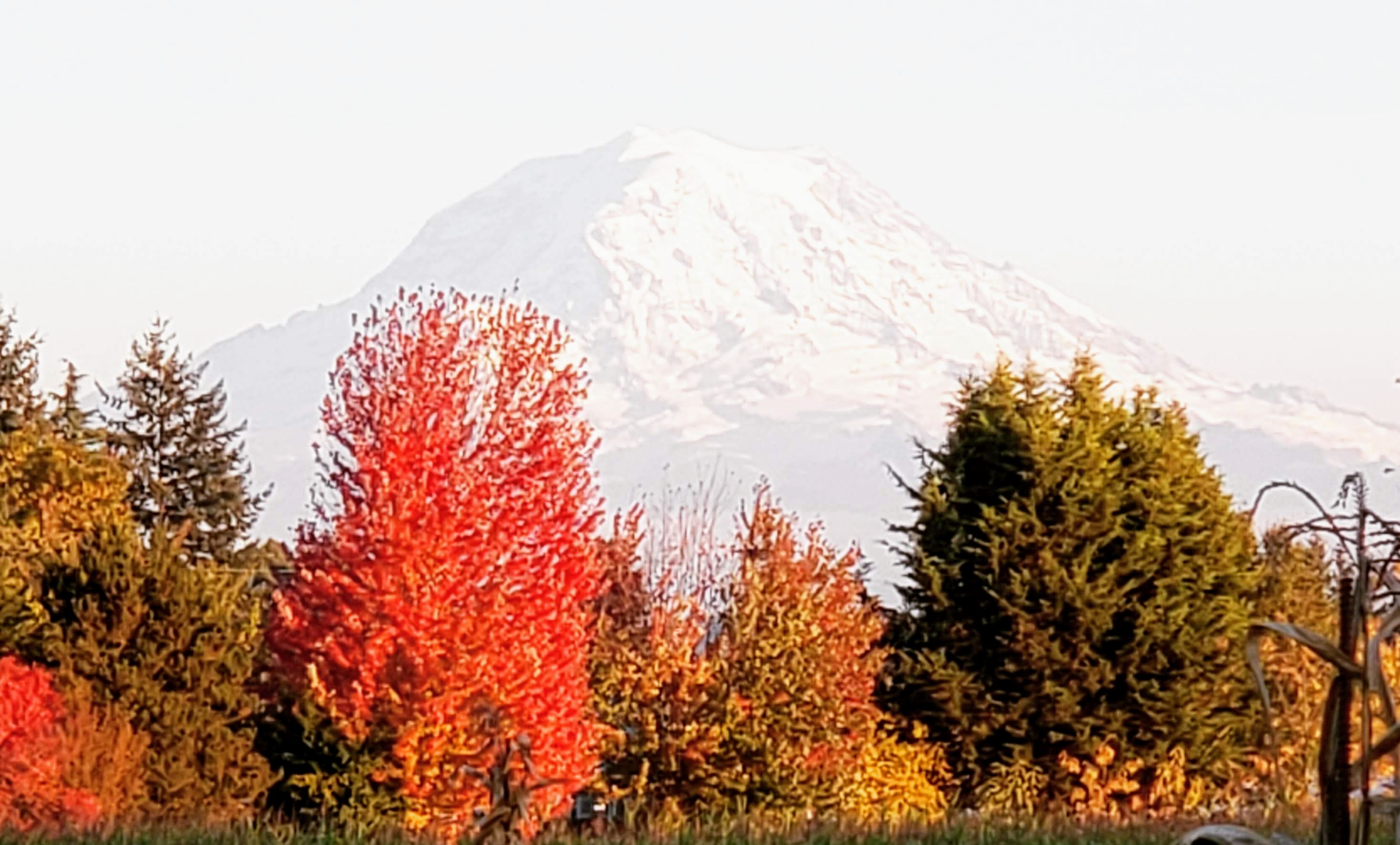 img_20181012_203008_462